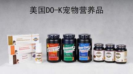 抓住寵物經濟藍海，寵物用品代理開啟安全高利潤新商機